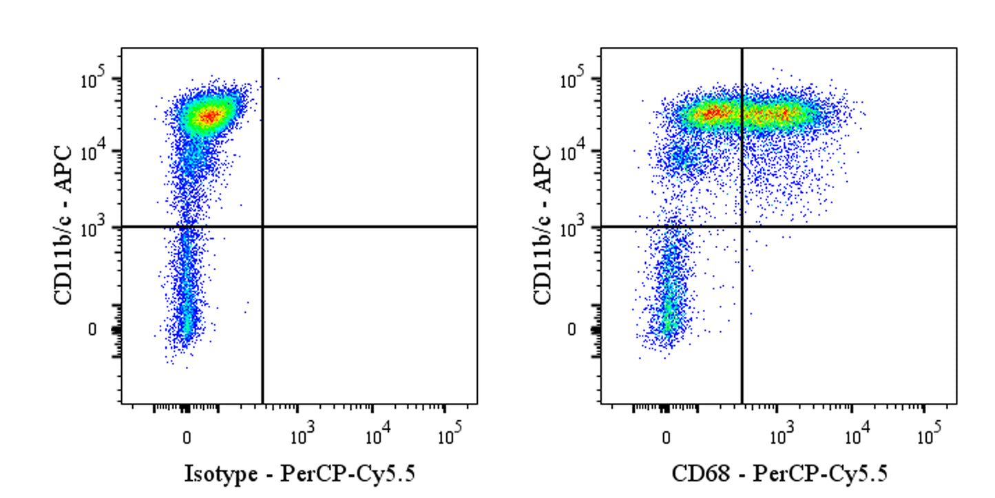 PerCP-Cy5.5 Mouse Anti-Rat CD68 Antibody (S-R674)