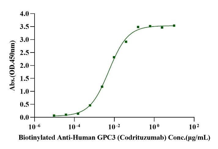 GPC3 Fc Chimera Protein, Human