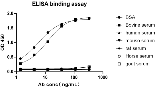 BSA Recombinant Rabbit mAb (S-1833-38)