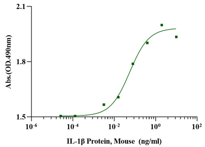 IL-1β Protein, Mouse