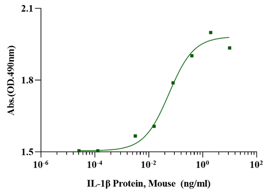 IL-1β Protein, Mouse
