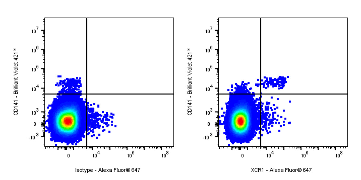 Alexa Fluor® 647 Rat Anti-Human XCR1 Antibody (S-3294)