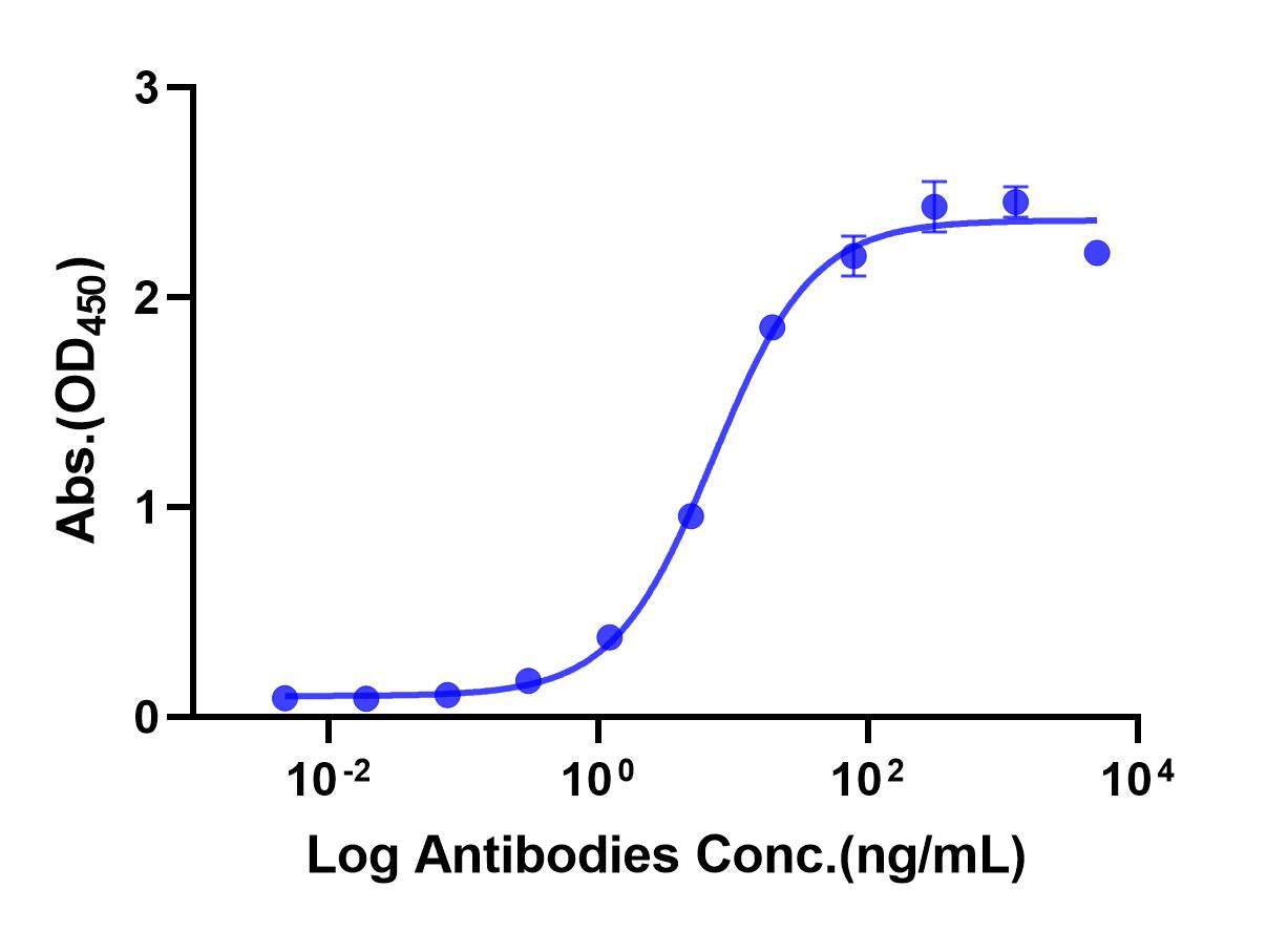 Anti-Human CA9 Monoclonal Antibody (Girentuximab)