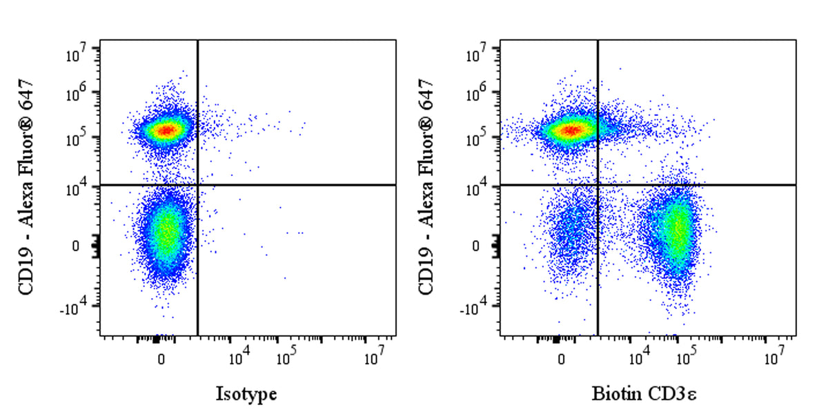 Biotin Rat Anti-Mouse CD3ε Antibody (KT3)