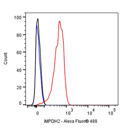 IMPDH2 Rabbit Polyclonal Antibody