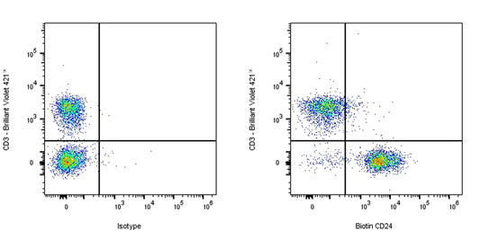 Biotin Rat Anti-Mouse CD24 Antibody (M1/69)