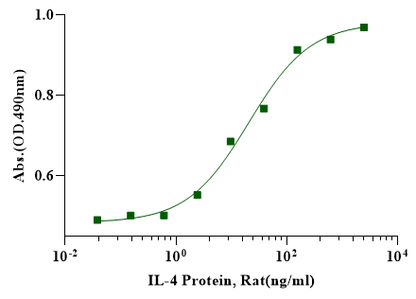 IL-4 Protein, Rat