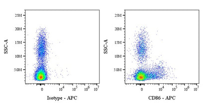 APC Mouse Anti-Human/ Monkey CD86 Antibody (IT2.2)