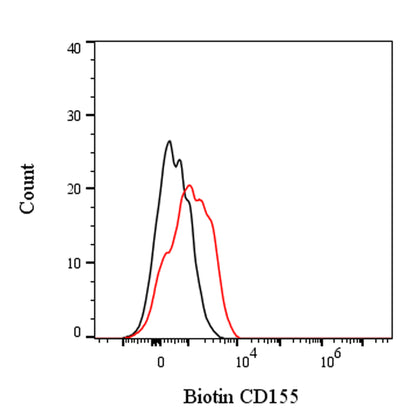 Biotin Rat Anti-Mouse CD155 Antibody (TX56)