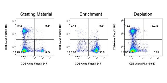 CD8 Nanobeads, mouse（RUO）