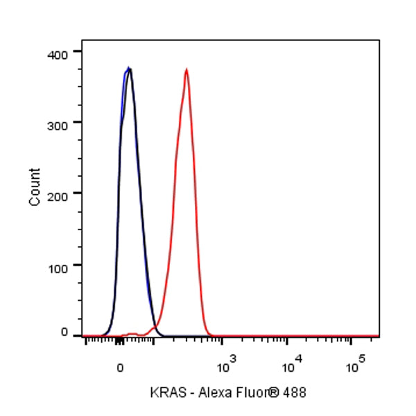 KRAS Recombinant Rabbit mAb (S-R291)