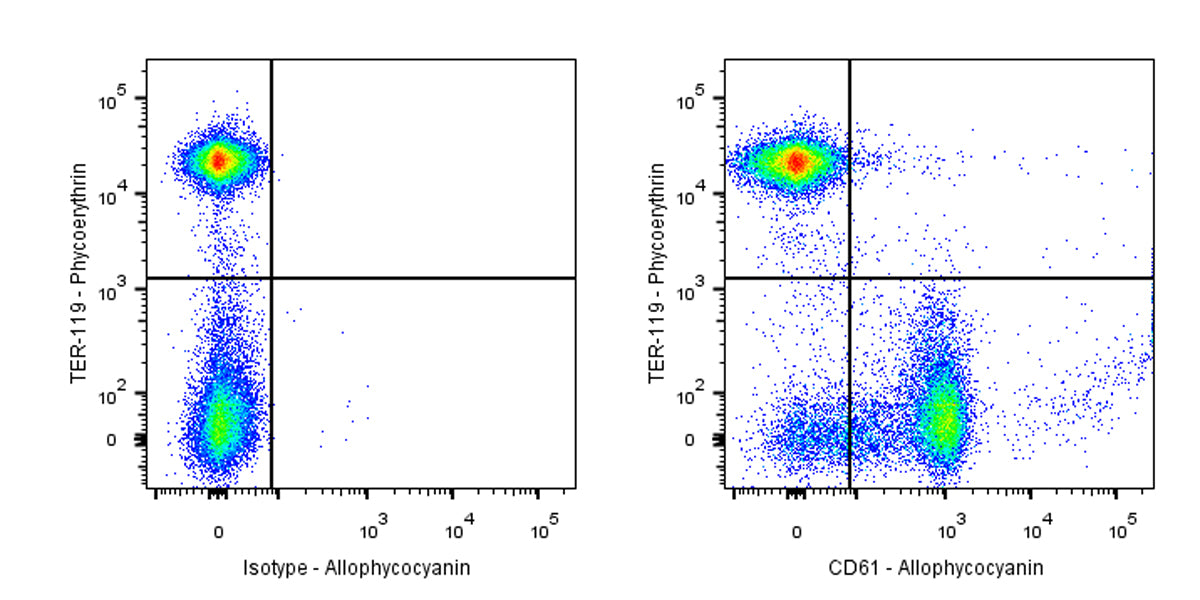 APC Armenian hamster Anti-Mouse/Rat CD61 Antibody (2C9.G2)