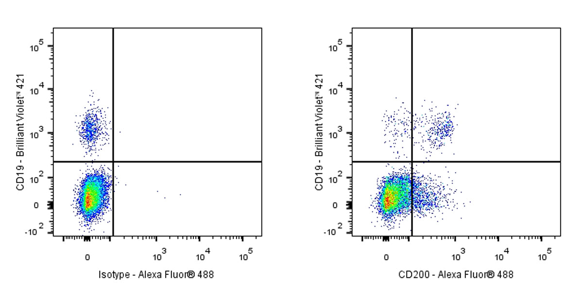 Mouse Anti-Human CD200 Antibody (S-R582)