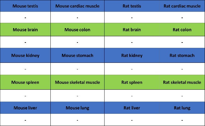 Human Cytoplasmic Marker Recombinant Mouse mAb (SDT-2921)