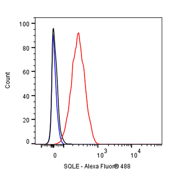 SQLE Recombinant Rabbit mAb (S-2358-207)