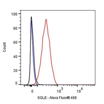 SQLE Recombinant Rabbit mAb (S-2358-207)