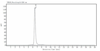 P-Selectin/CD62P His Tag Protein, Human