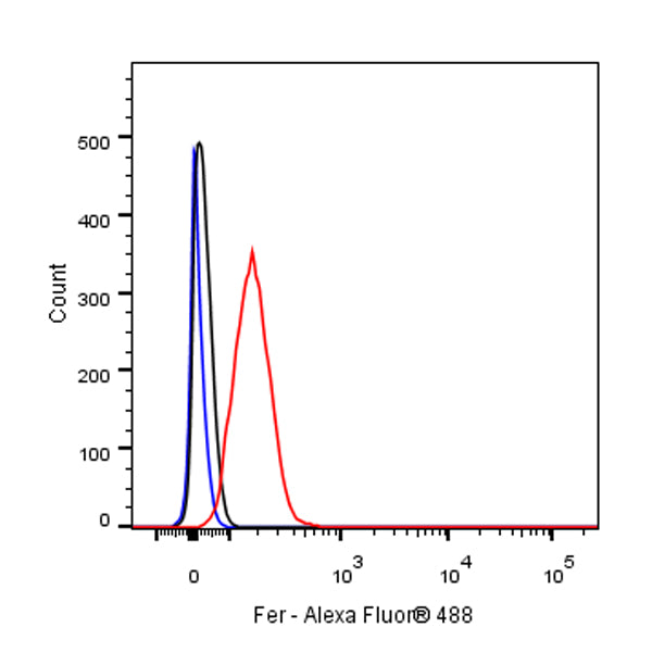 Fer Recombinant Rabbit mAb (S-R303)