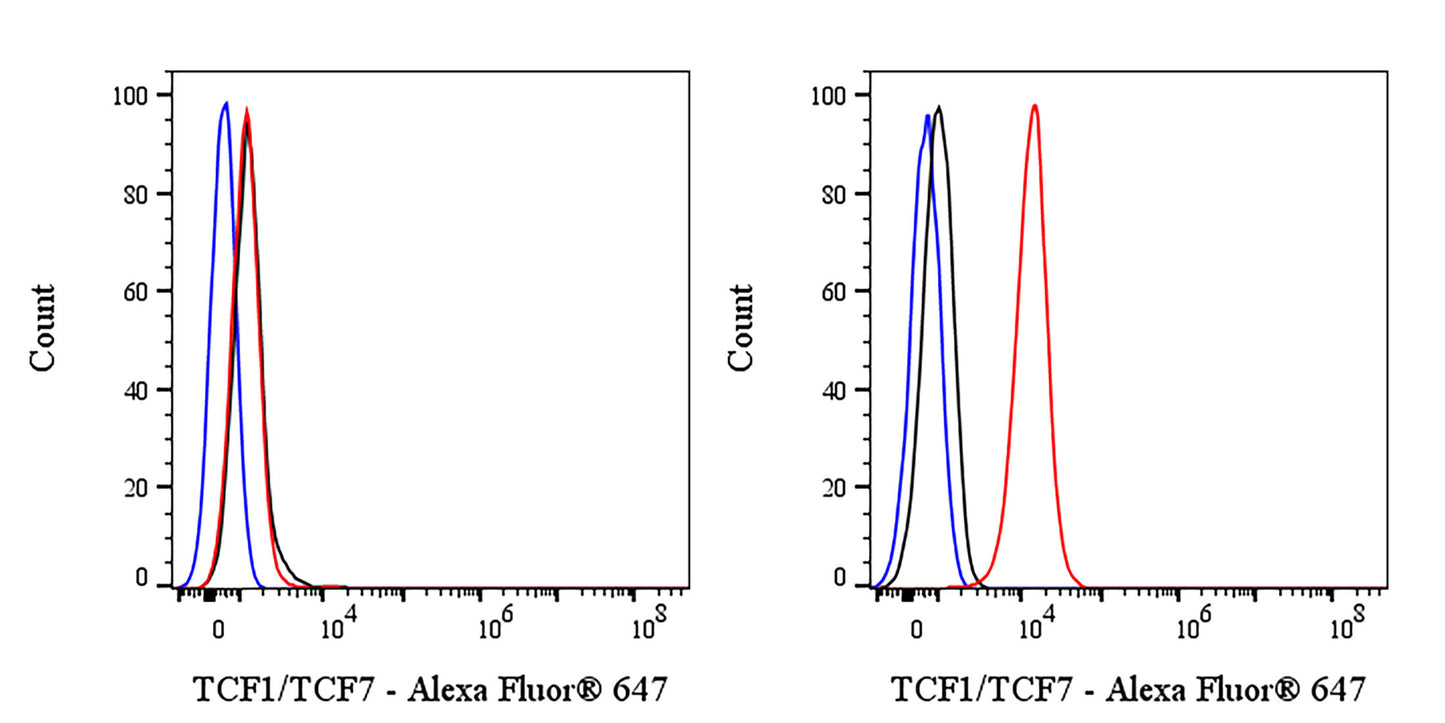 TCF1/TCF7 Recombinant Rabbit mAb (Alexa Fluor® 647 Conjugate) (S-3486)