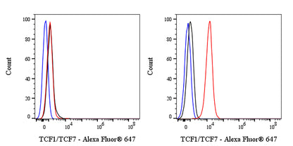 TCF1/TCF7 Recombinant Rabbit mAb (Alexa Fluor® 647 Conjugate) (S-3486)