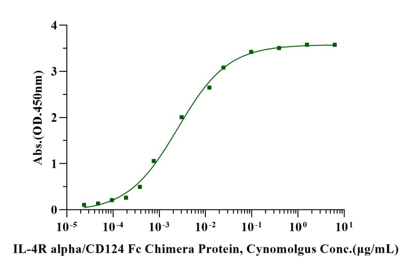 IL-4R alpha/CD124 Fc Chimera Protein, Cynomolgus