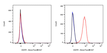Anti-EGFR Monoclonal Antibody(Cetuximab)