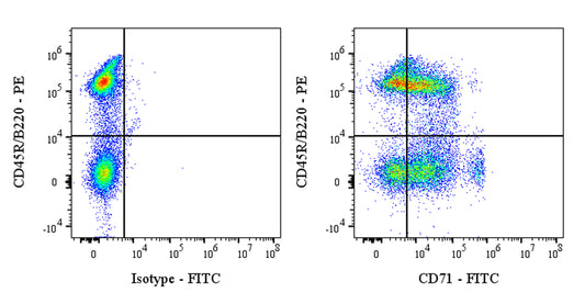 FITC Mouse Anti-Rat CD71 Antibody (OX-26)