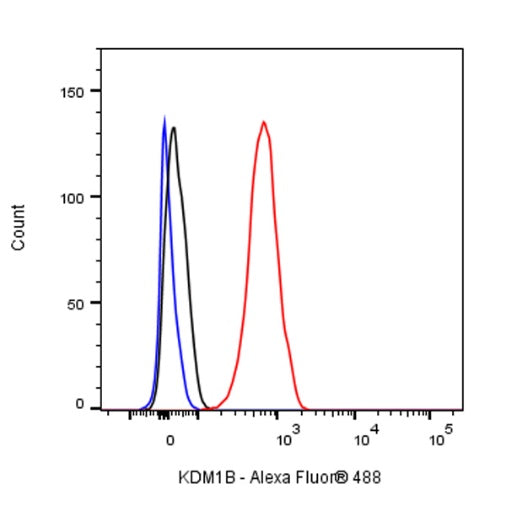 KDM1B Recombinant Rabbit mAb (S-993-8)