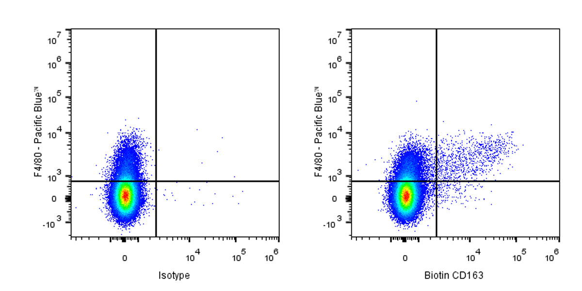 Biotin Rat Anti-Mouse CD163 Antibody (S-R608)