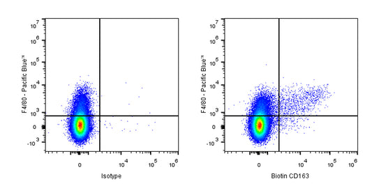 Biotin Rat Anti-Mouse CD163 Antibody (S-R608)