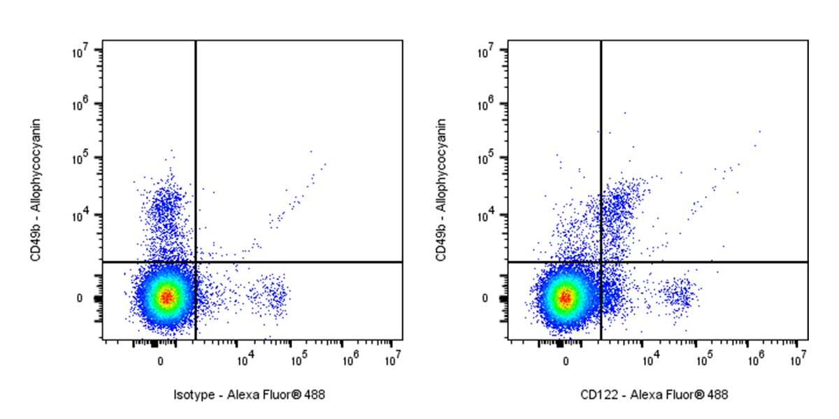 Rat Anti-Mouse CD122 (IL-2Rβ) Antibody (TM-β1)