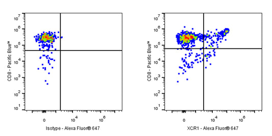 Alexa Fluor® 647 Mouse Anti-Mouse XCR1 Antibody (S-R601)