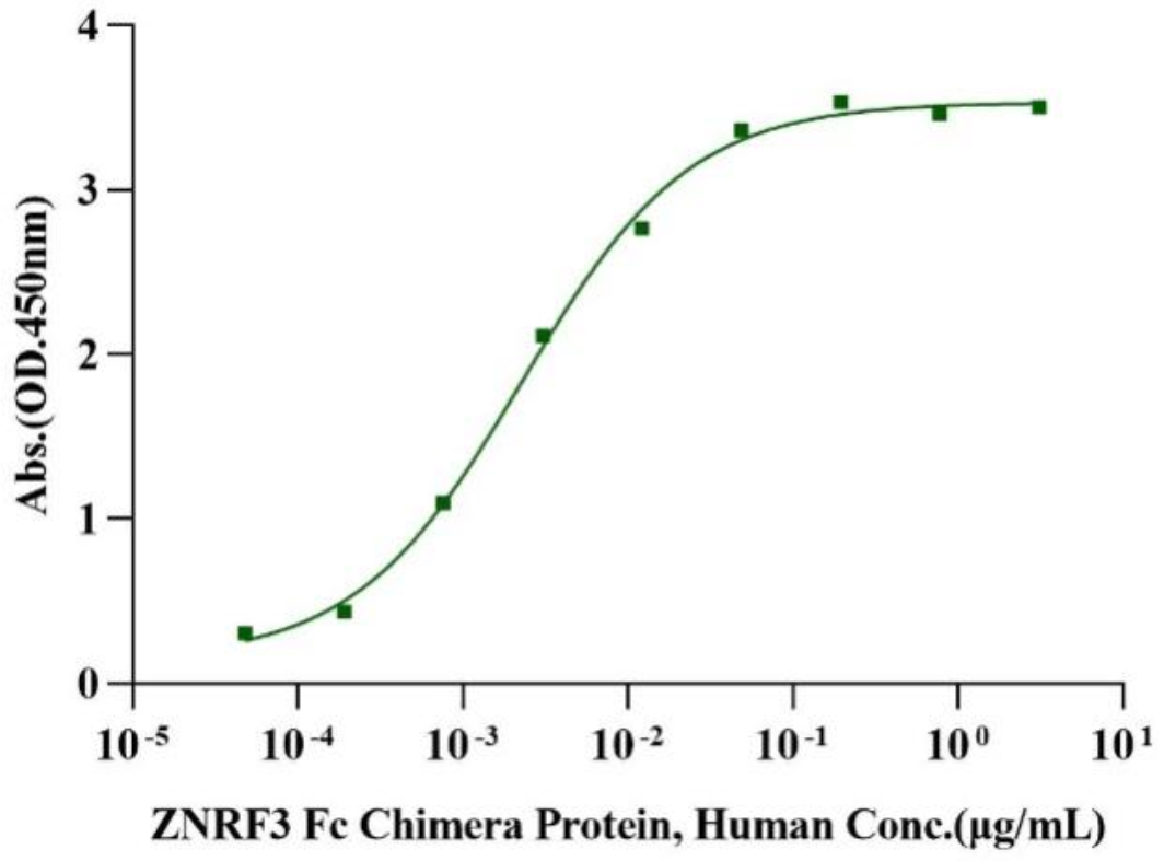 RSPO3 Protein, Human