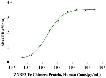 RSPO3 Protein, Human