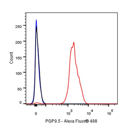 PGP9.5 Recombinant Rabbit mAb (S-R281)