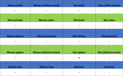 ITPR1 Recombinant Rabbit mAb (S-4530-47)