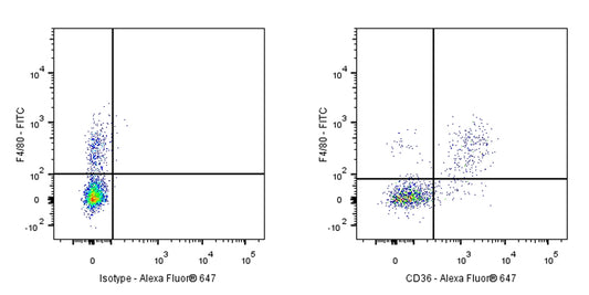 Alexa Fluor® 647 Armenian hamster Anti-Mouse CD36 Antibody (HM36)