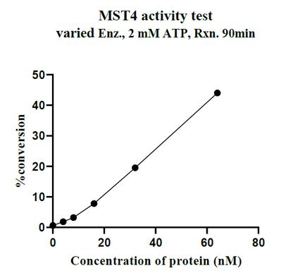 MST4 GST Tag Protein, Human