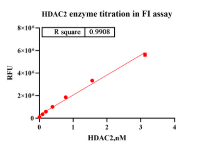 HDAC2 Protein, Human