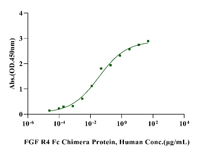 FGF R4 Fc Chimera Protein, Human