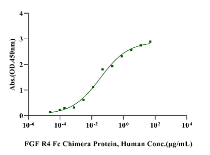FGF R4 Fc Chimera Protein, Human