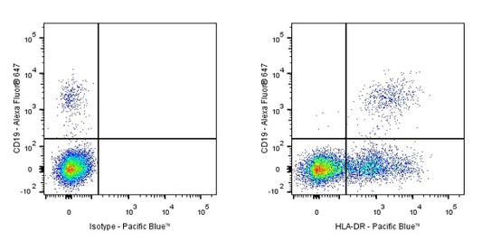 Pacific Blue Mouse Anti-Human HLA-DR Antibody (L243)
