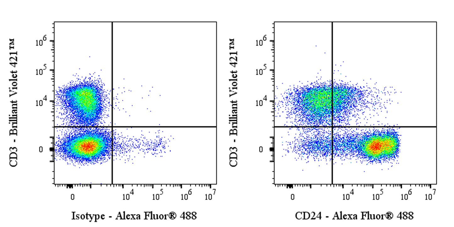 Invivo anti-Mouse CD24 Recombinant mAb