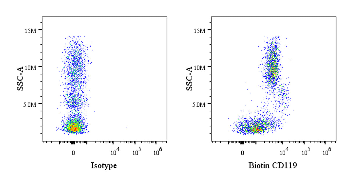 Biotin Mouse Anti-Human CD119 Antibody (S-3124)