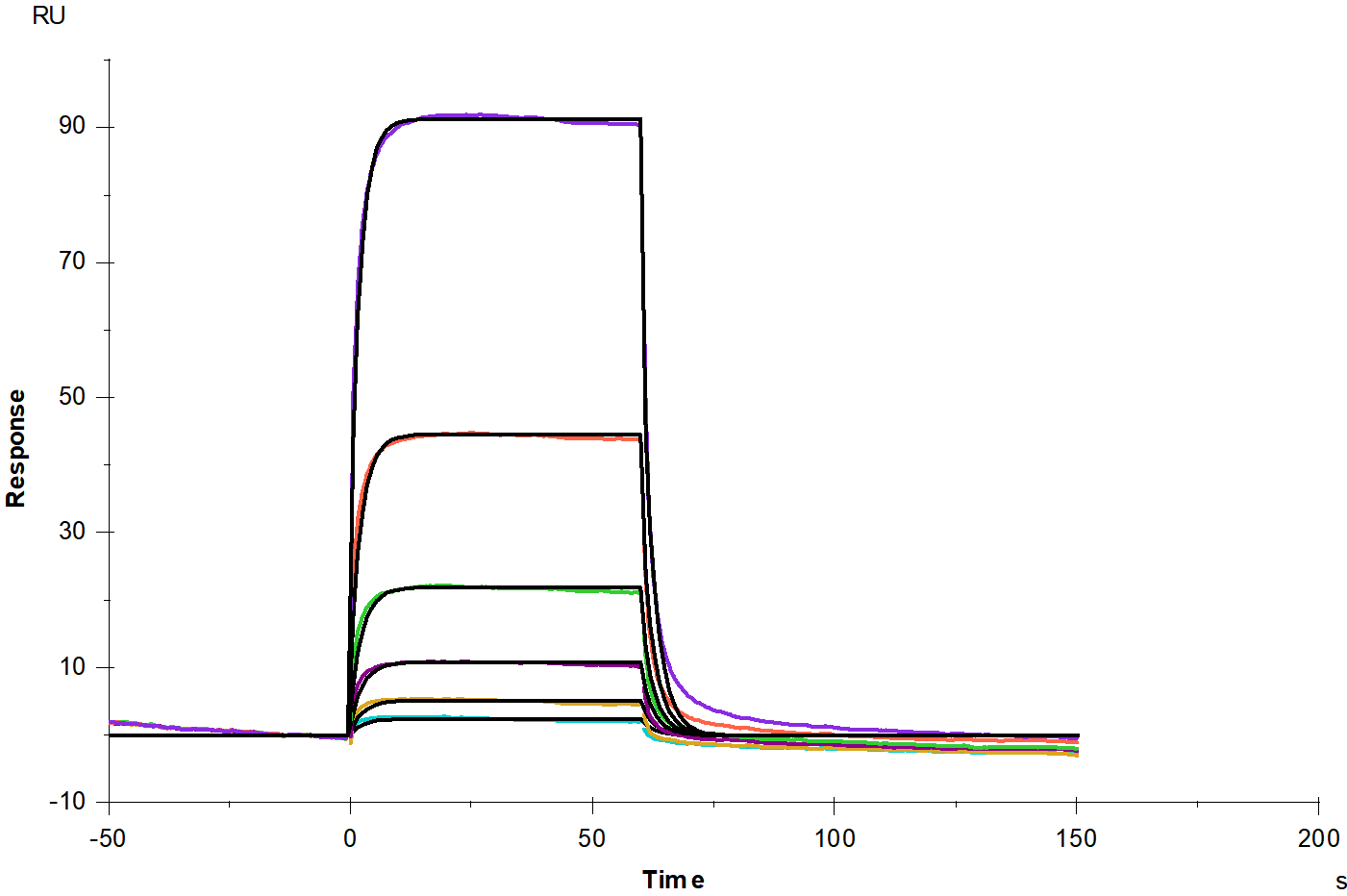 Fc γ RIIIb/CD16b(NA1) His Tag Protein, Human