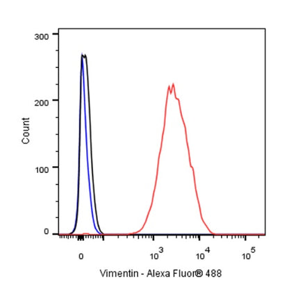 Vimentin Recombinant Rabbit mAb (SDT-029-120)