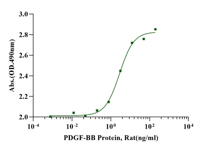 PDGF-BB Protein, Rat