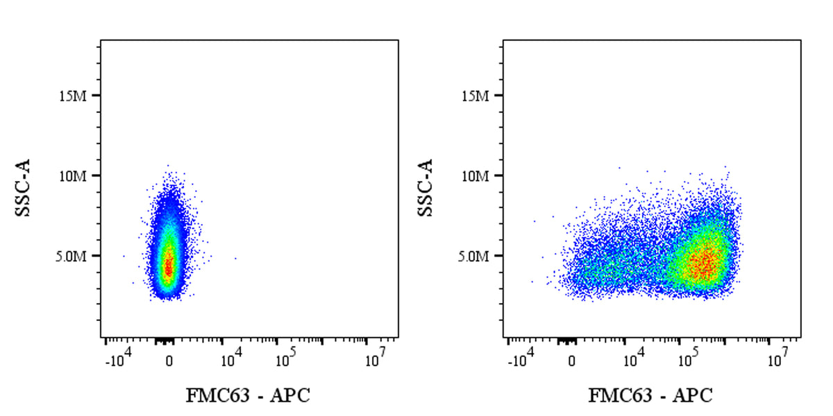 FMC63 Recombinant Mouse mAb (APC Conjugate) (S-5031)