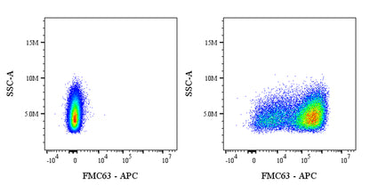 FMC63 Recombinant Mouse mAb (APC Conjugate) (S-5031)