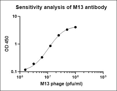 M13 phage Recombinant Rabbit mAb (S-1403-28)